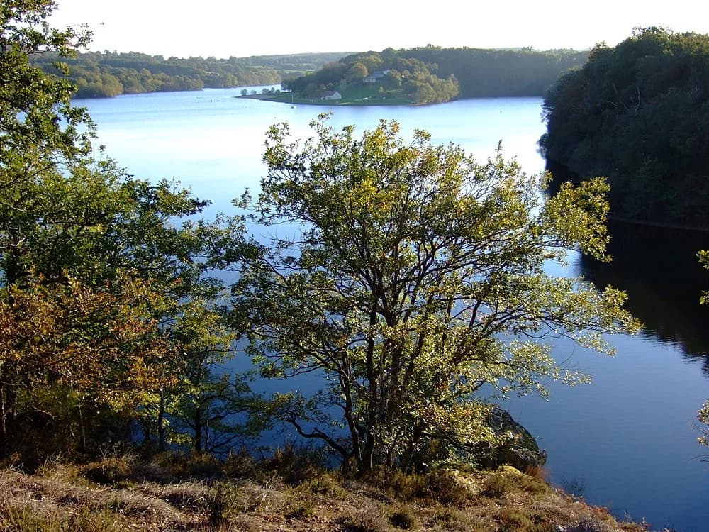 Saint-Éloy-d'Allier