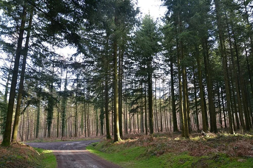 Saint-Léger-le-Guérétois