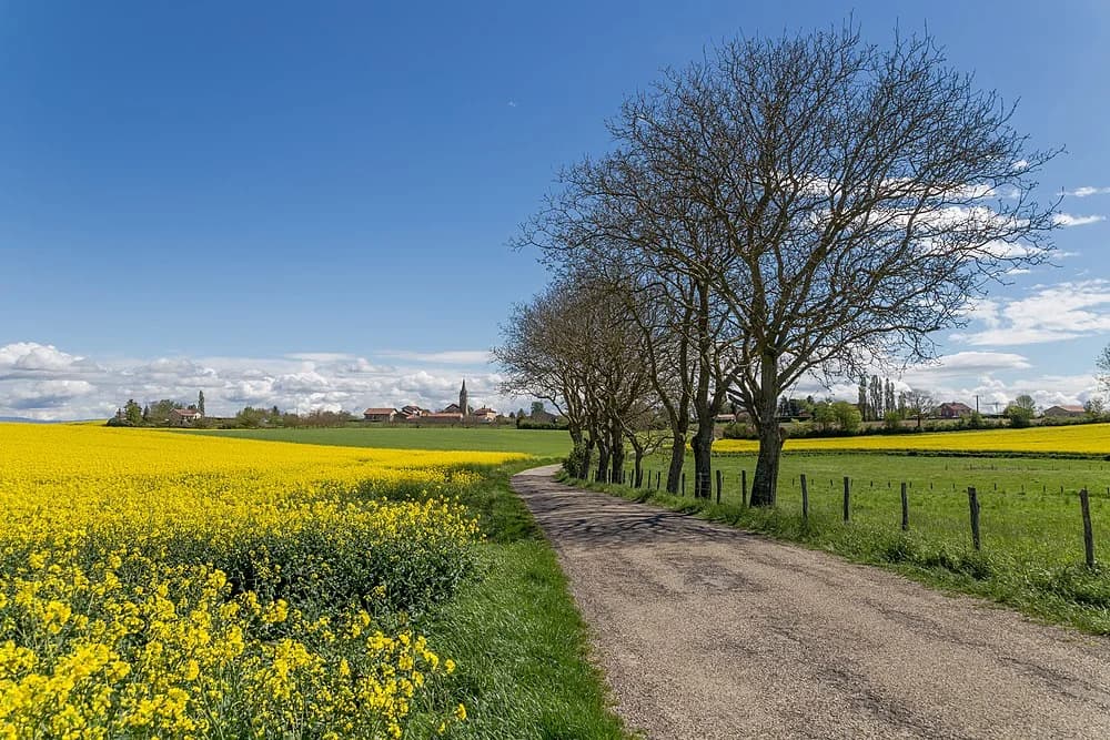 Sainte-Anne-sur-Gervonde