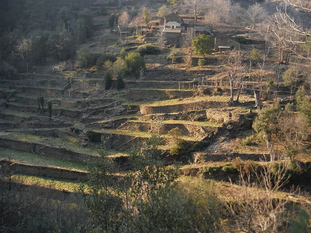 Saint-Martin-de-Boubaux