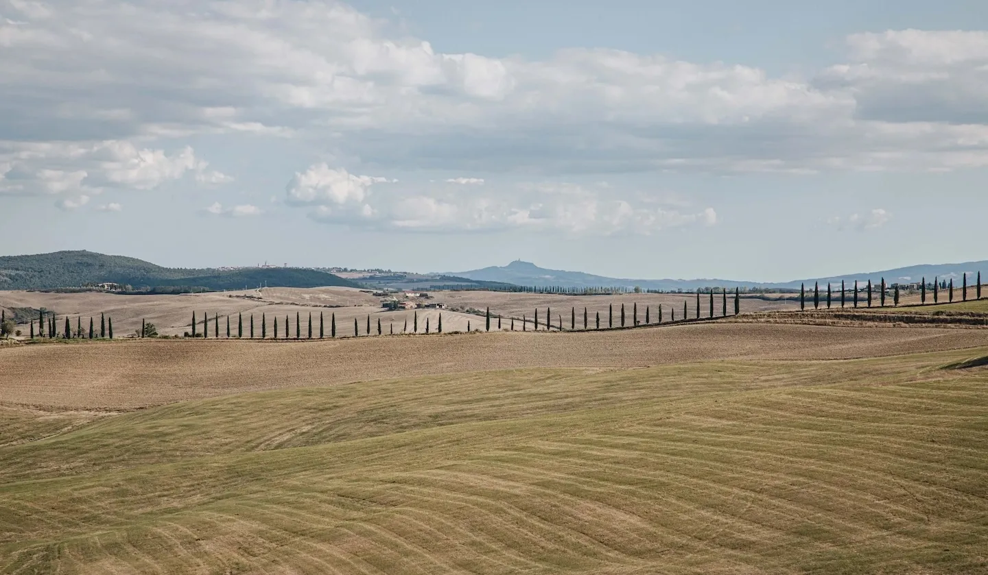 illustation d'un terrain agricole pouvant accueillir des panneaux solaires.