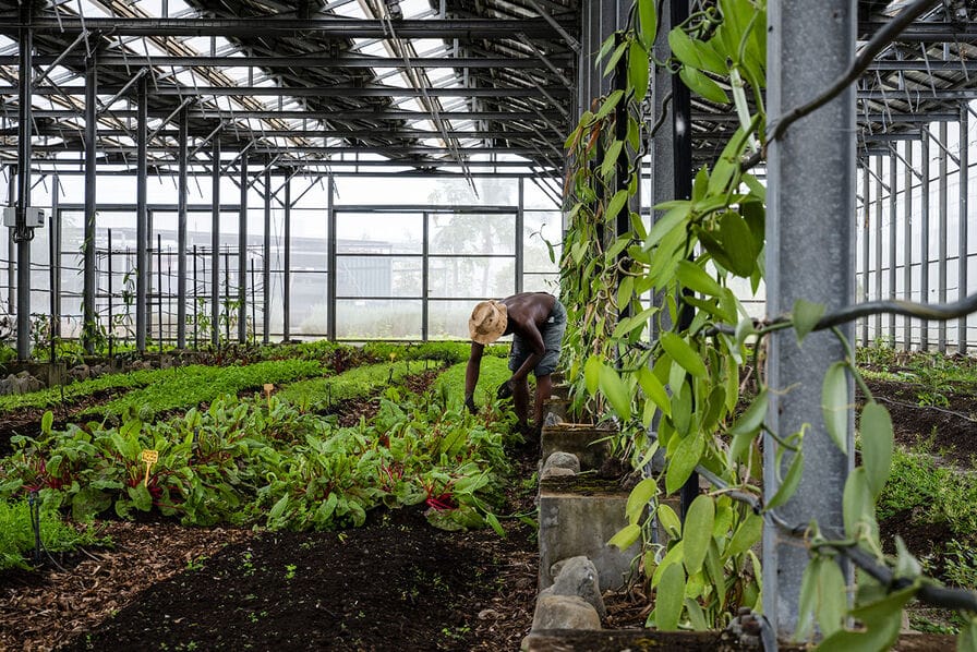 Serre photovoltaïque de Bardzour à la Réunion, © Côme Sittler
