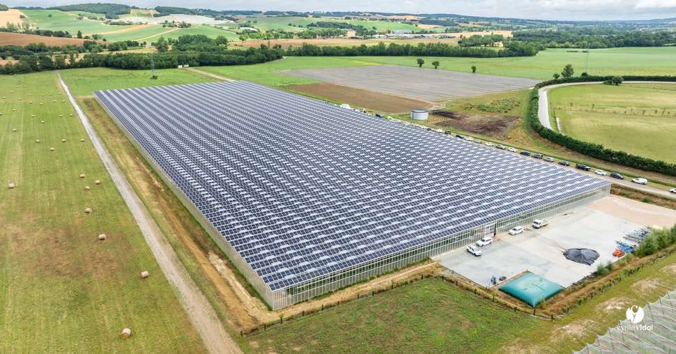 Serre agrivoltaïque de la SCEA De Bénac (4 hectares).
