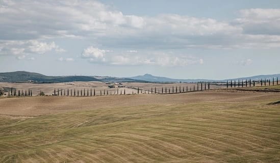 Photo de terrains cultivés