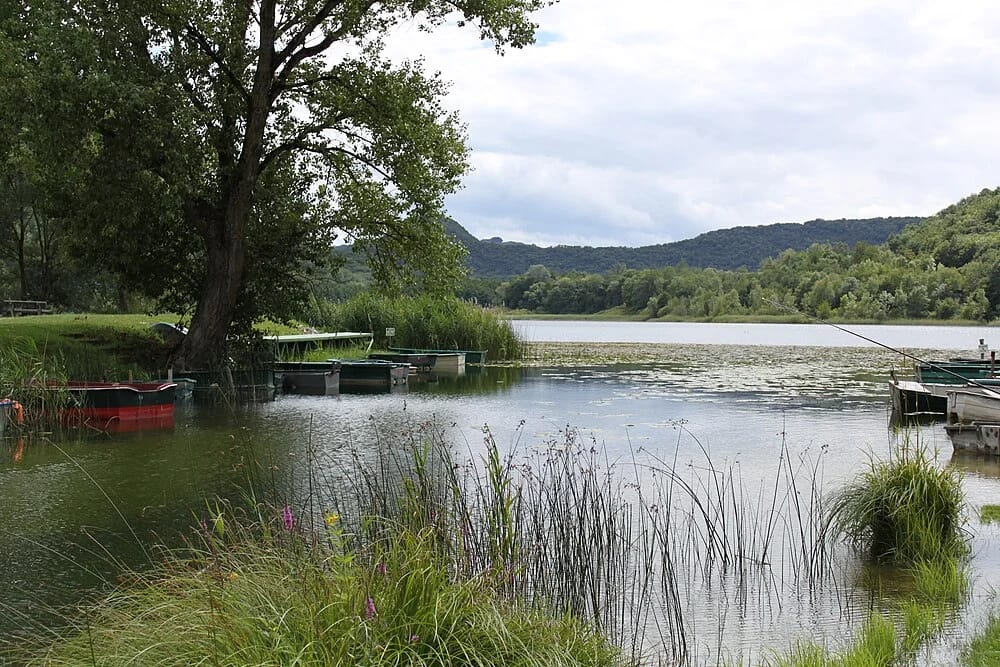 Panneaux solaires à Pollieu