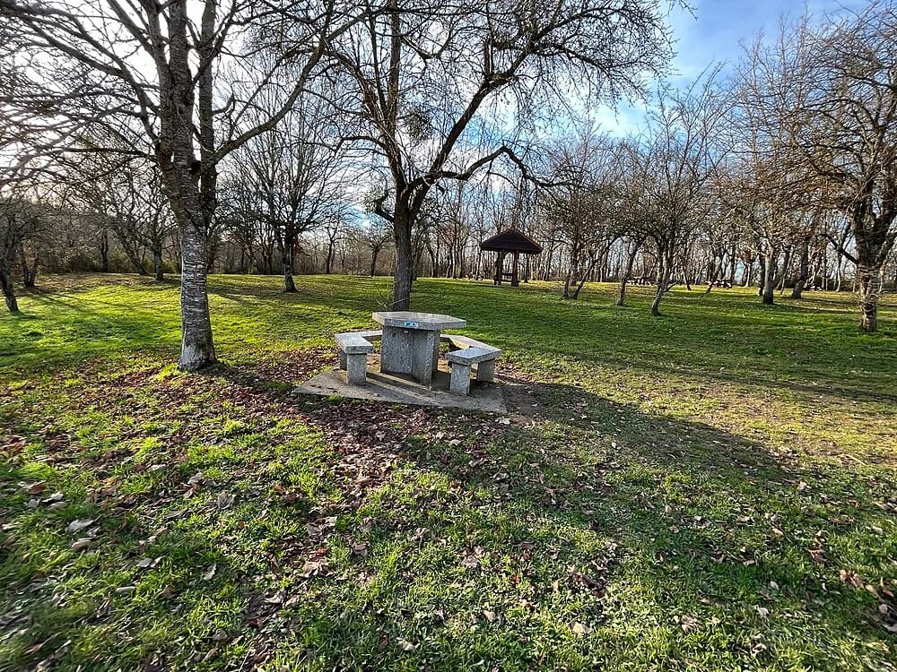 Panneaux solaires à Monestier