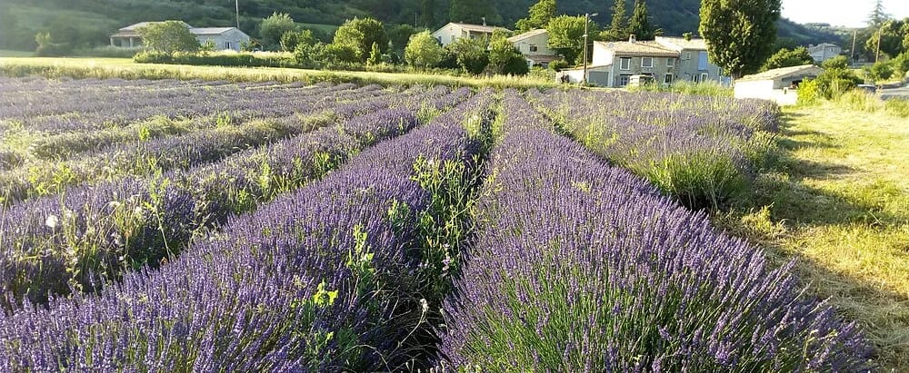 Panneaux solaires à Rochegiron