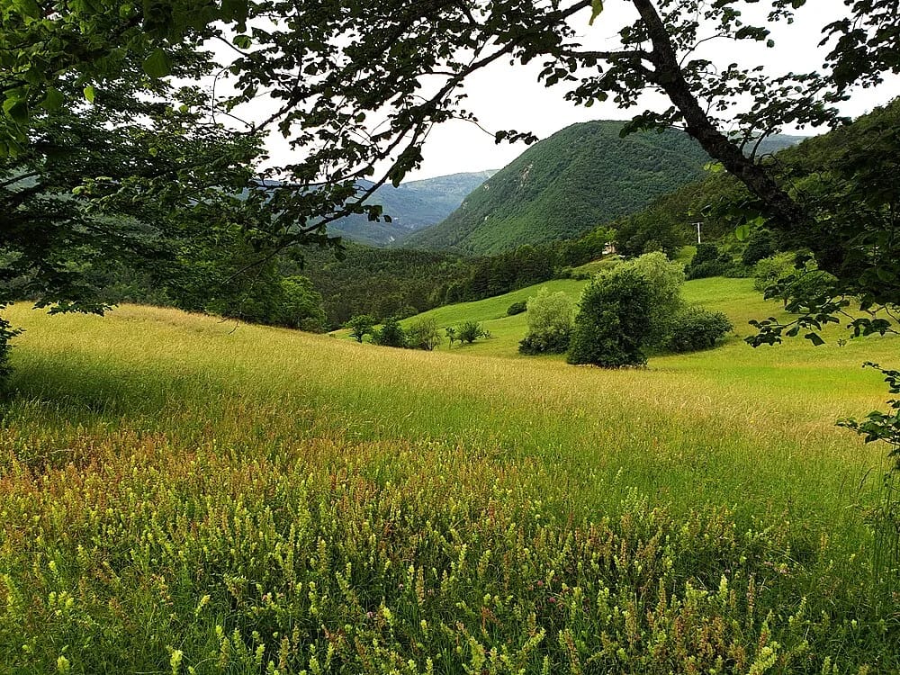 Panneaux solaires à Val-de-Chalvagne
