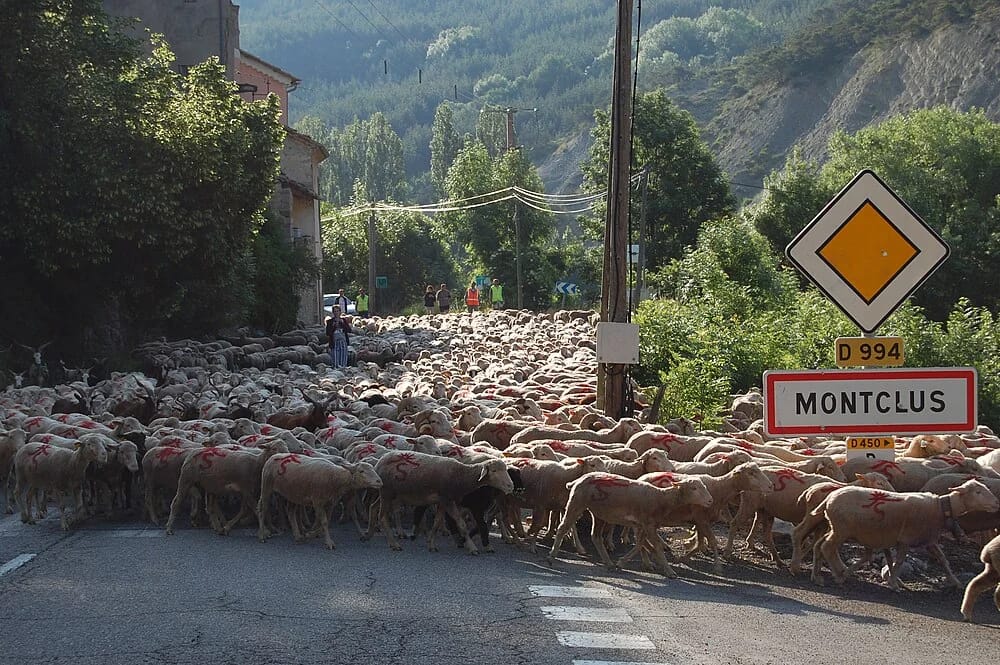 Panneaux solaires à Montclus