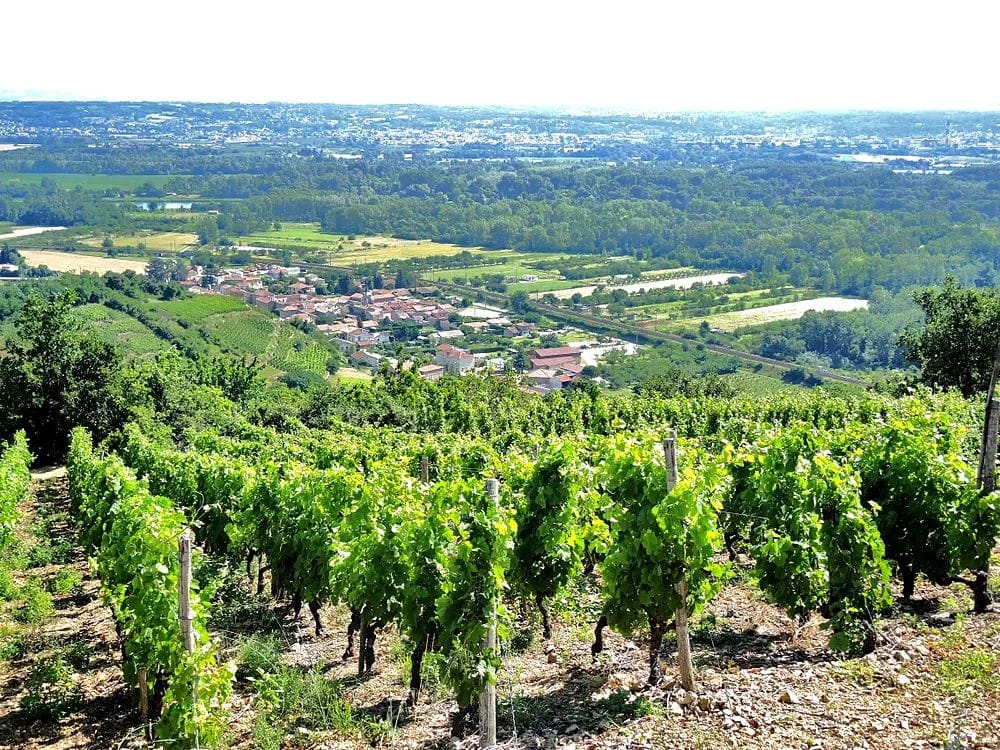 Panneaux solaires à Limony