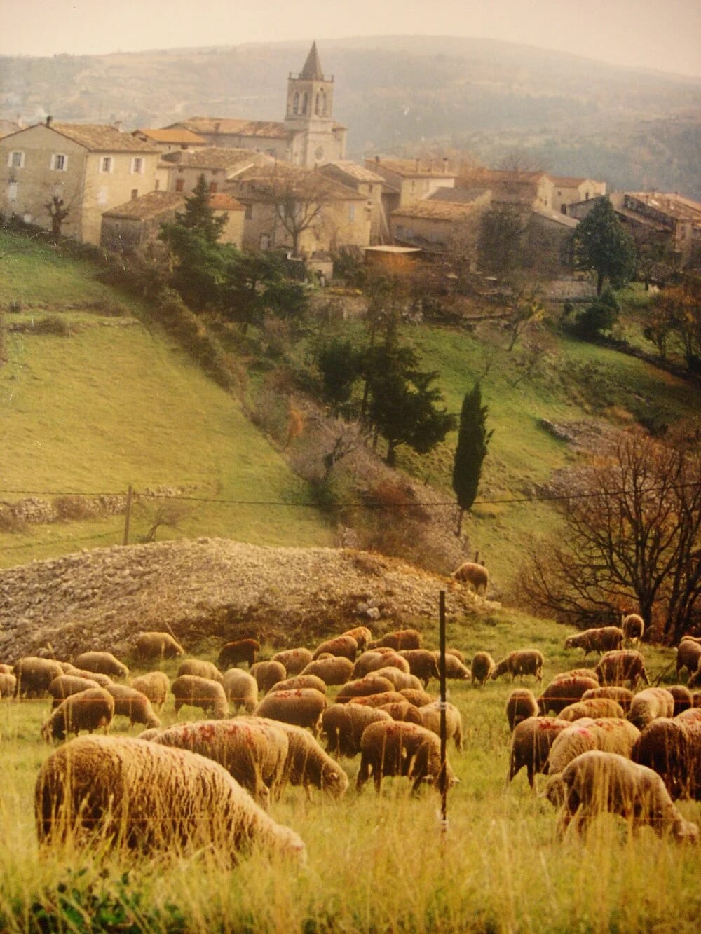 Panneaux solaires à Saint-Andéol-de-Berg
