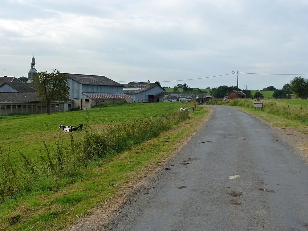 Panneaux solaires à Marlemont