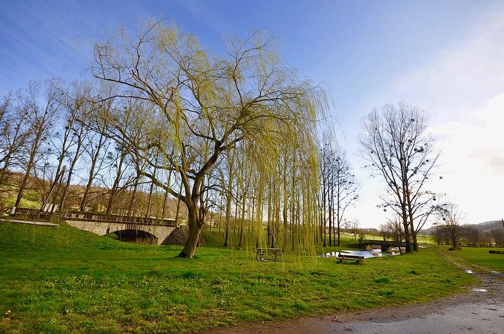 Panneaux solaires à Cazavet