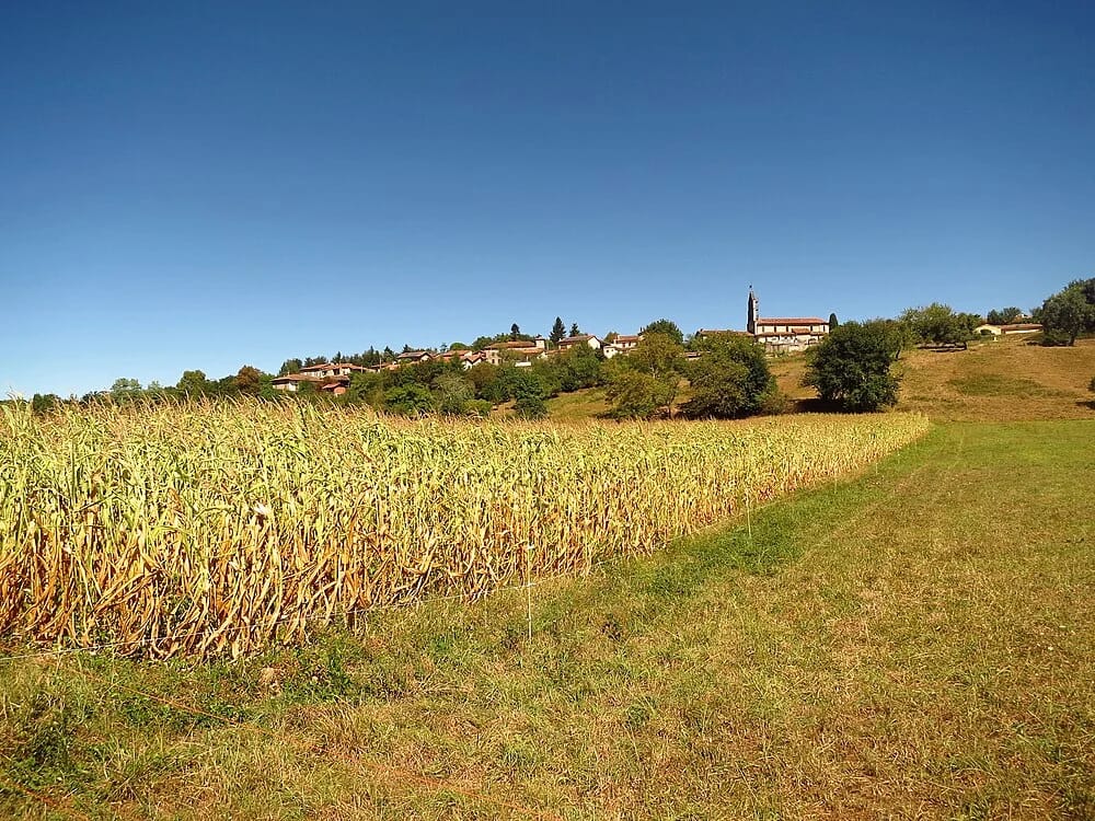 Panneaux solaires à Mercenac