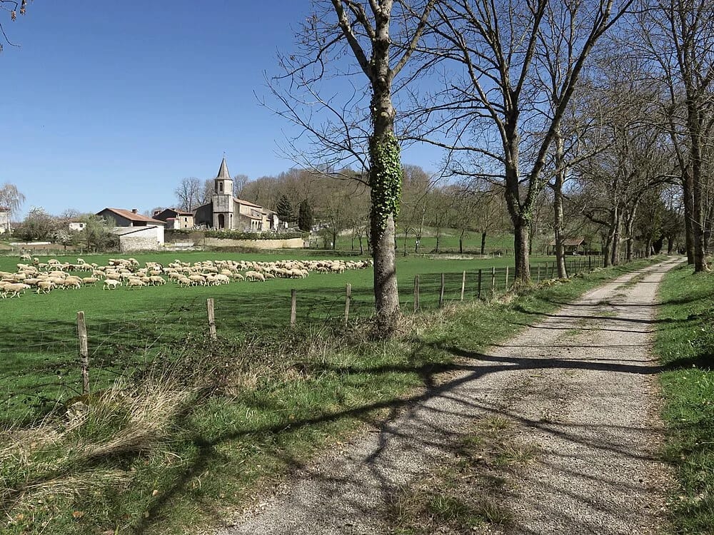 Panneaux solaires à Montesquieu-Avantès