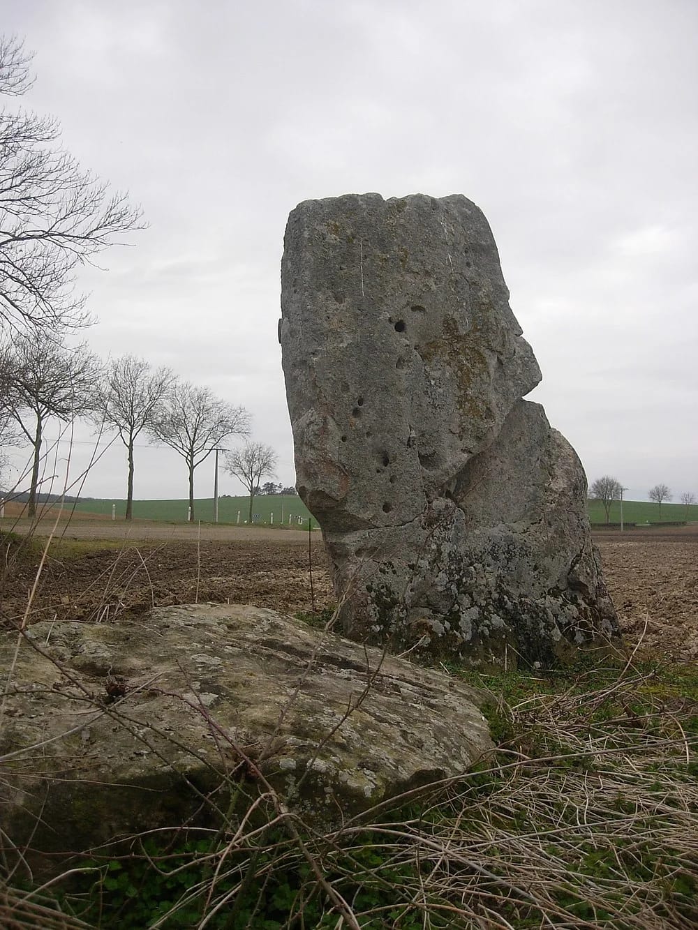 Panneaux solaires à Soligny-les-Étangs