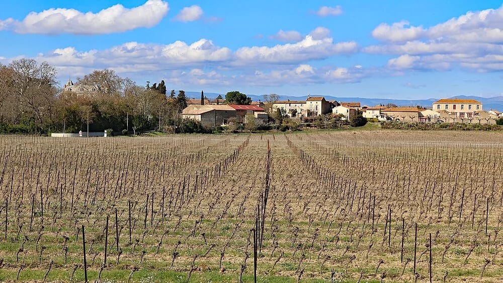 Panneaux solaires à Blomac