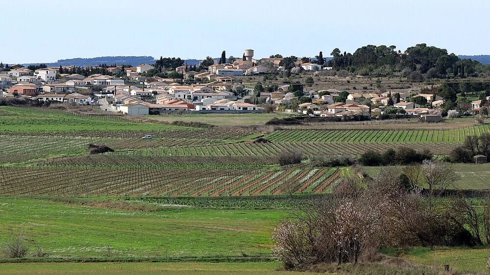 Panneaux solaires à Conques-sur-Orbiel