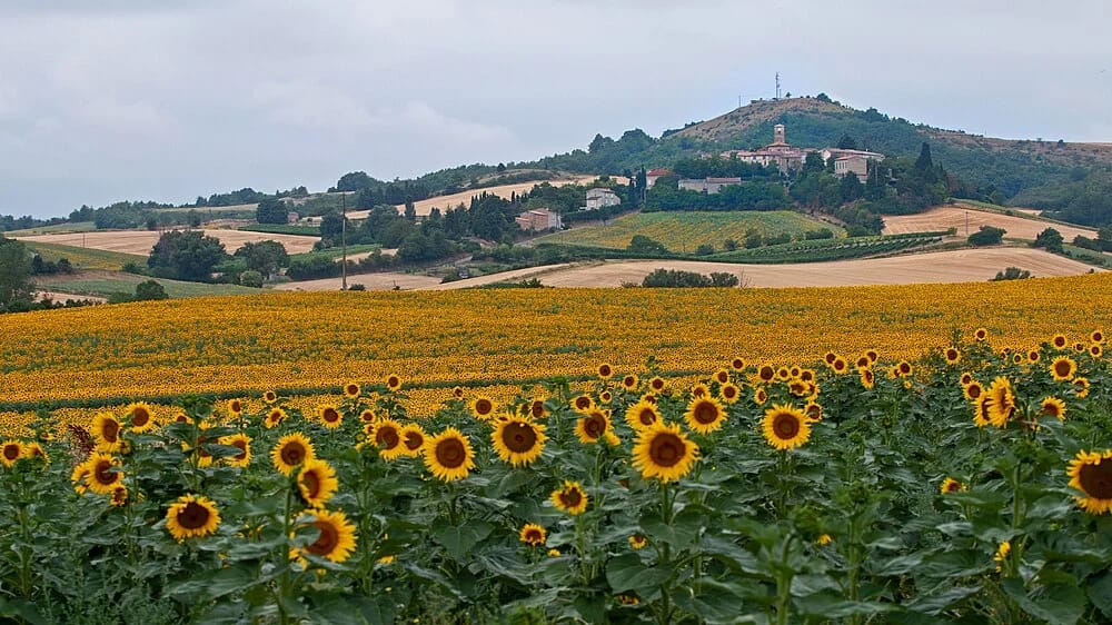 Panneaux solaires à Fenouillet-du-Razès
