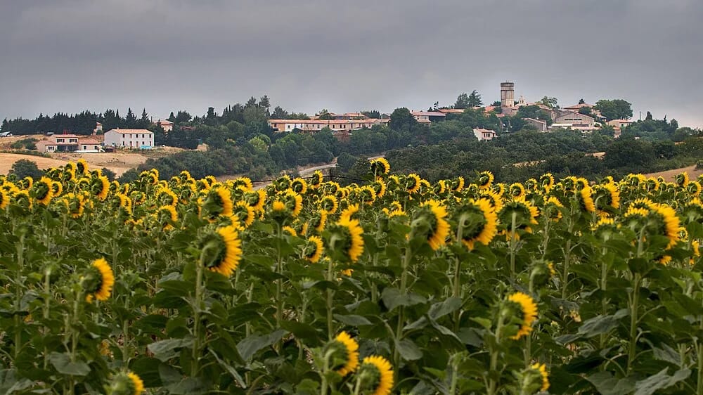 Panneaux solaires à Hounoux