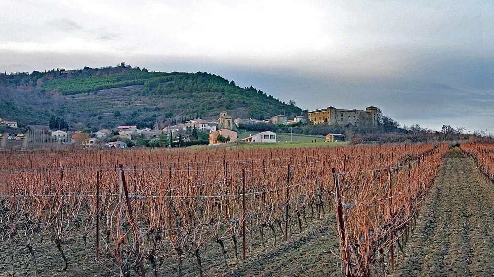 Panneaux solaires à Serpent