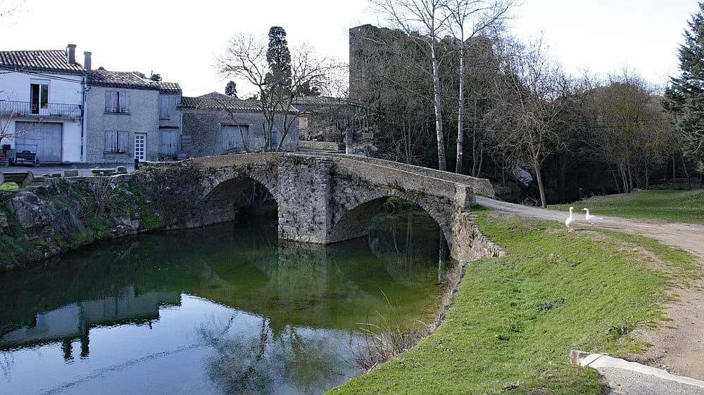 Panneaux solaires à Mas-des-Cours
