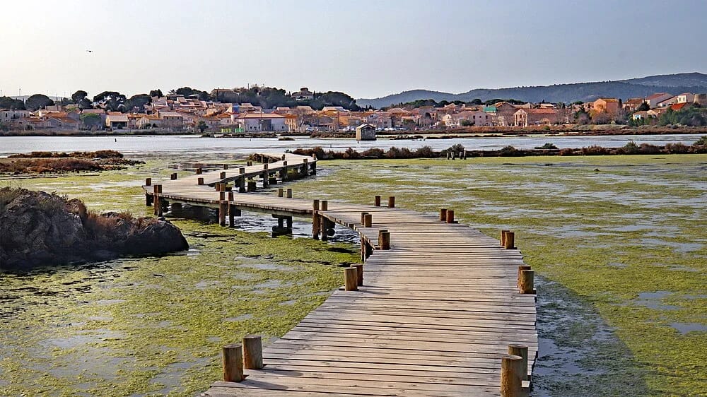Panneaux solaires à Peyriac-de-Mer