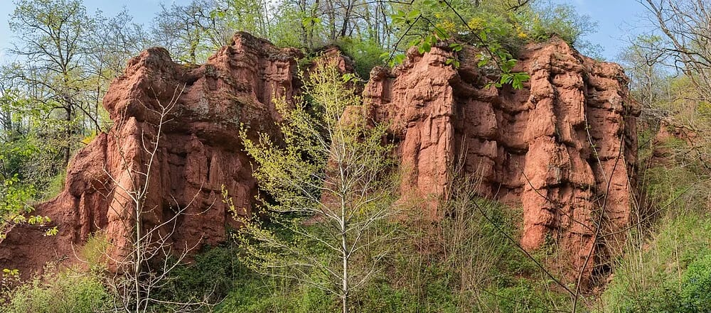 Panneaux solaires à Compolibat