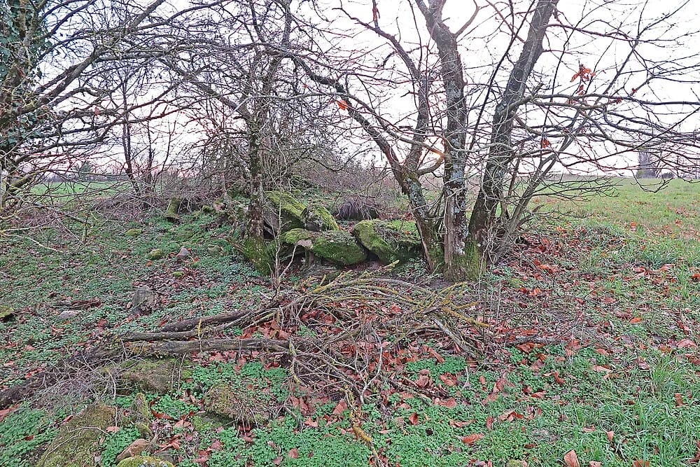 Panneaux solaires aux Costes-Gozon