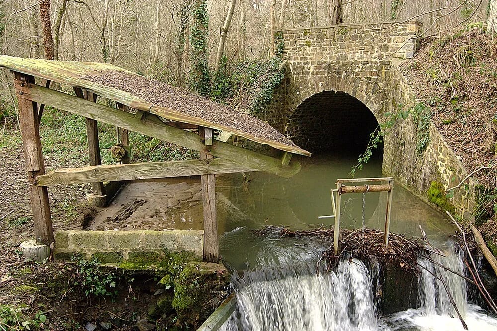 Panneaux solaires à Rapilly