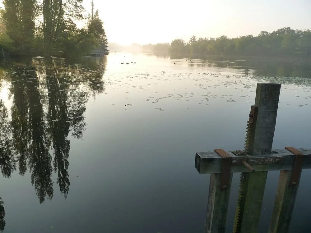 Panneaux solaires à Saint-Maigrin