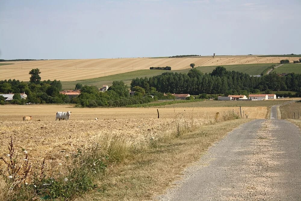 Panneaux solaires à Saint-Pierre-de-Juillers
