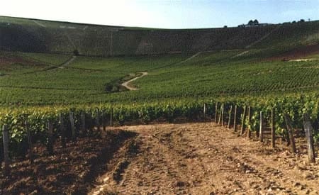 Panneaux solaires à Bué