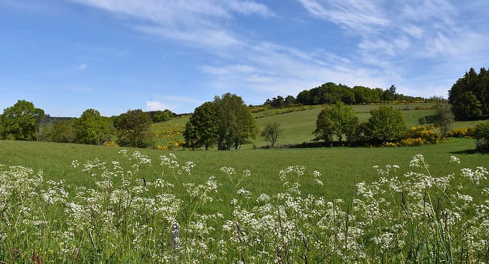 Panneaux solaires à Chavanac