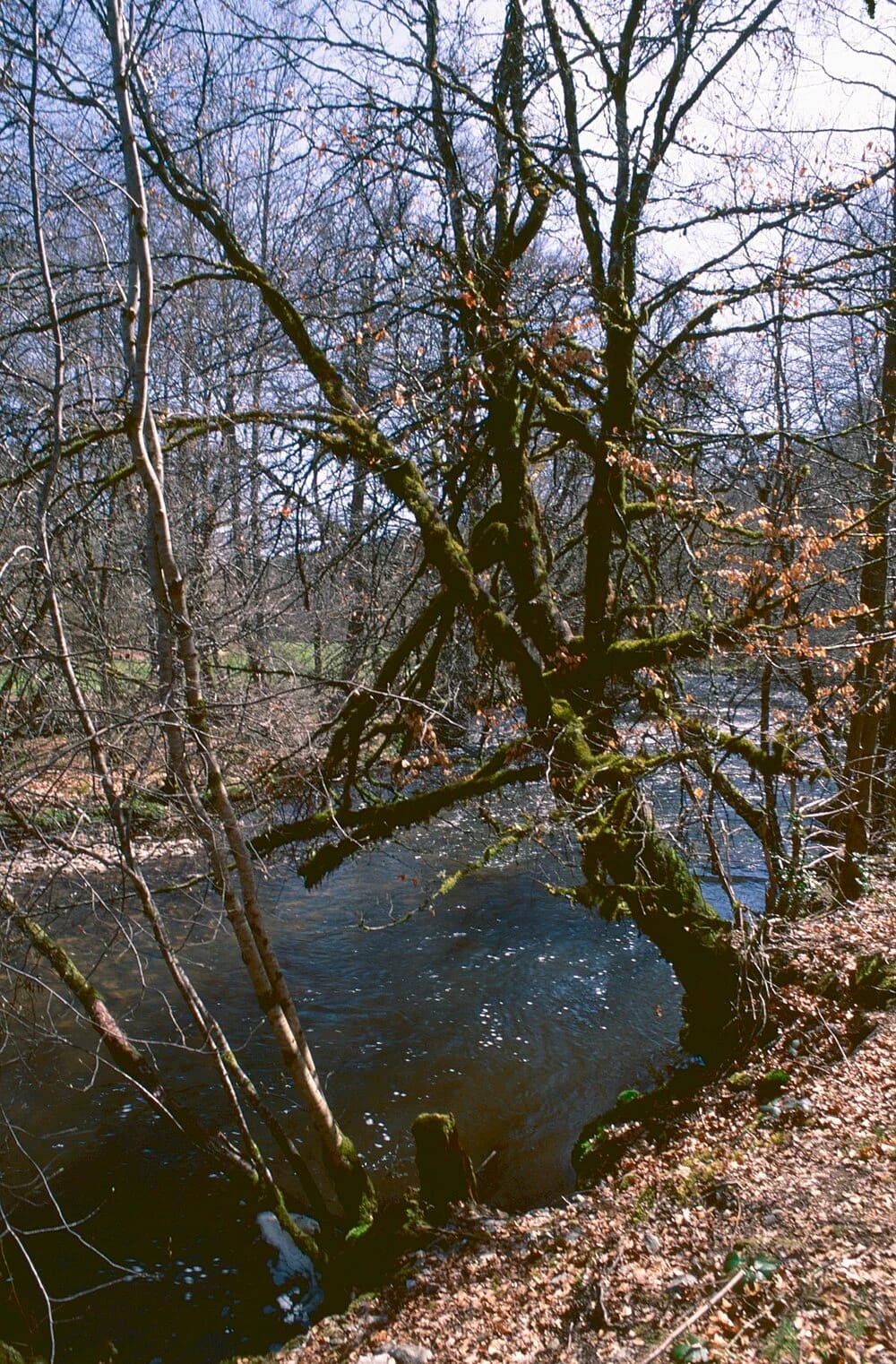Panneaux solaires à Saint-Pardoux-le-Vieux