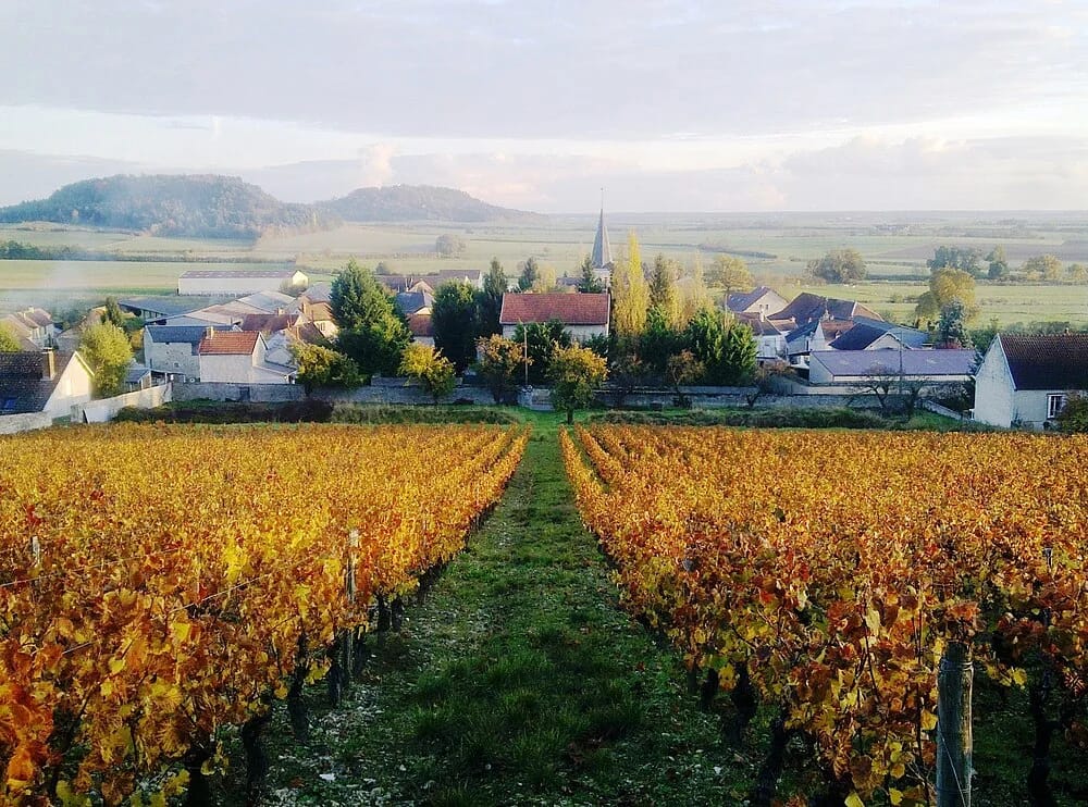 Panneaux solaires à Massingy