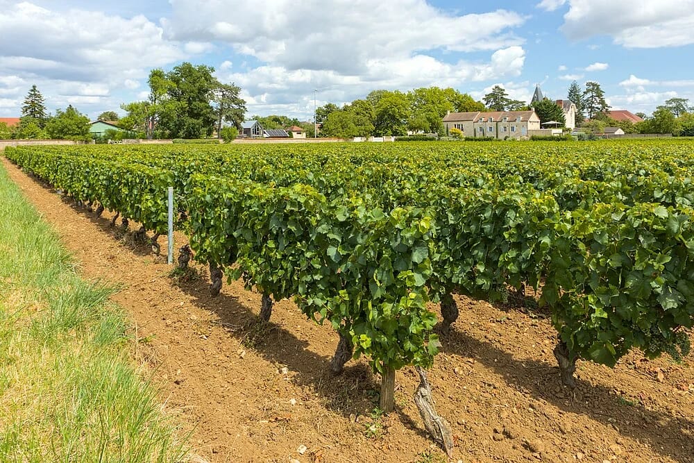 Panneaux solaires à Puligny-Montrachet