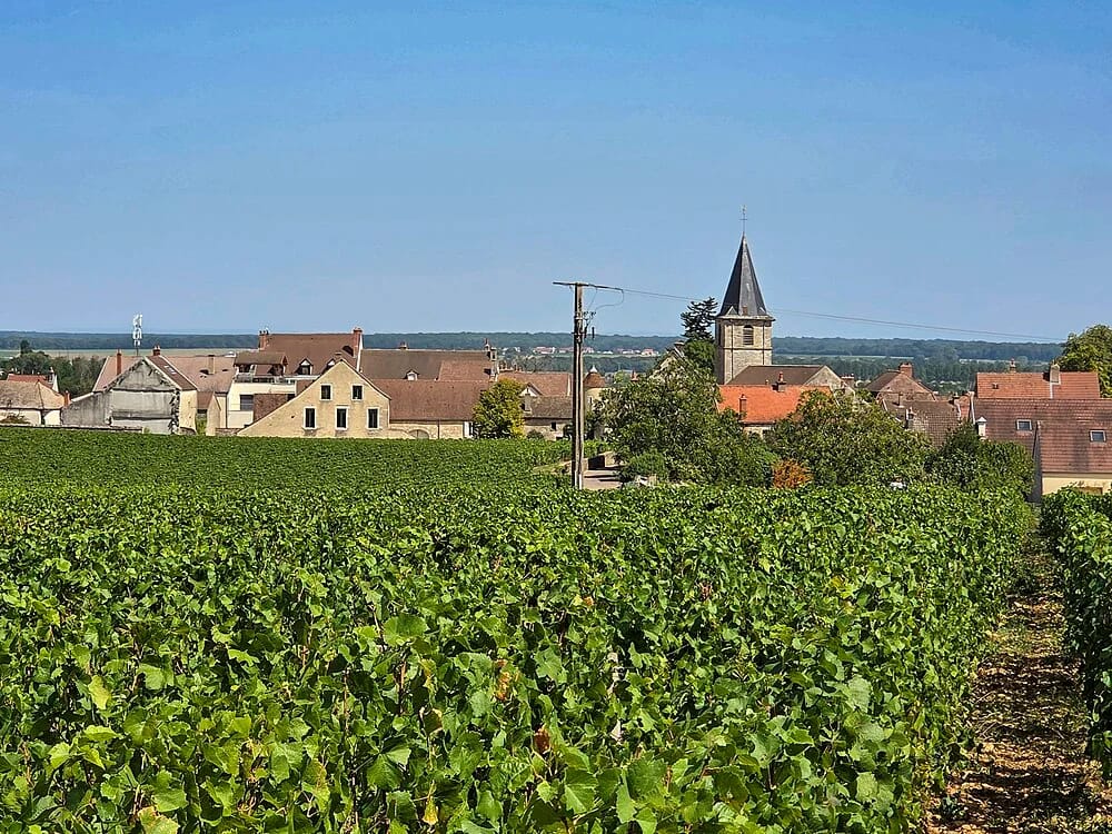 Panneaux solaires à Vosne-Romanée