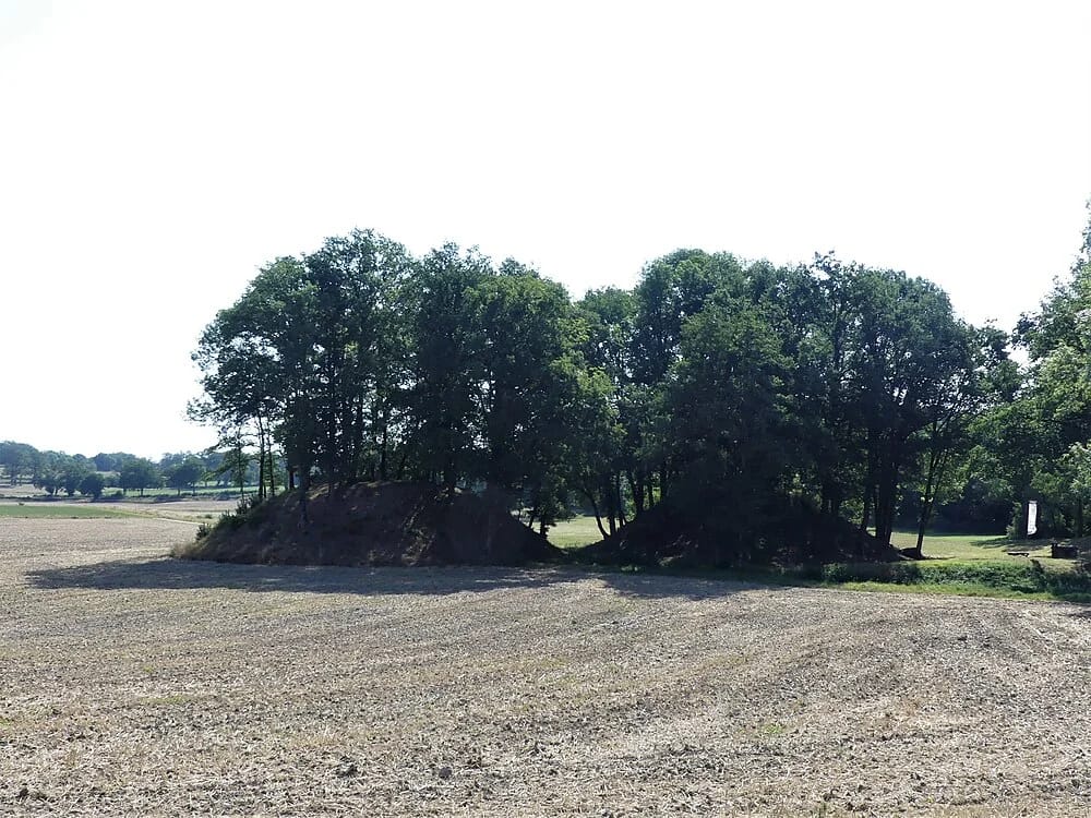 Panneaux solaires à Saint-Dizier-la-Tour