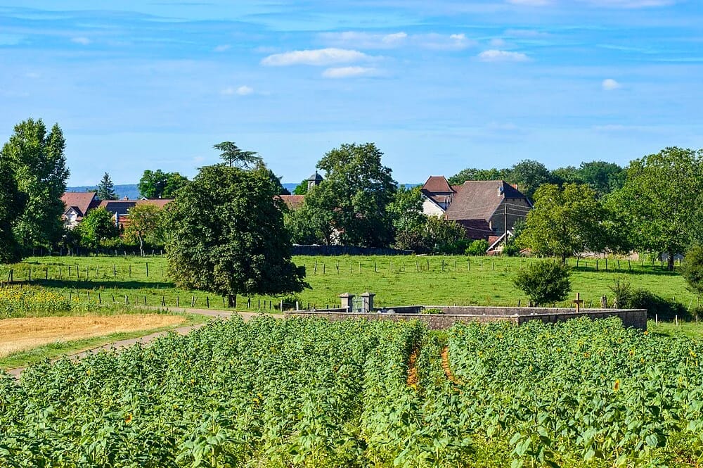 Panneaux solaires à Placey