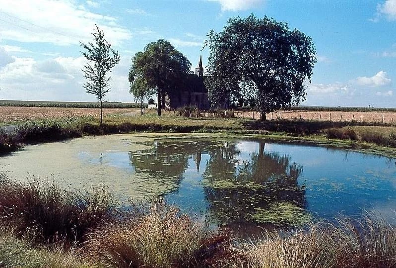 Panneaux solaires à Fresnay-le-Gilmert