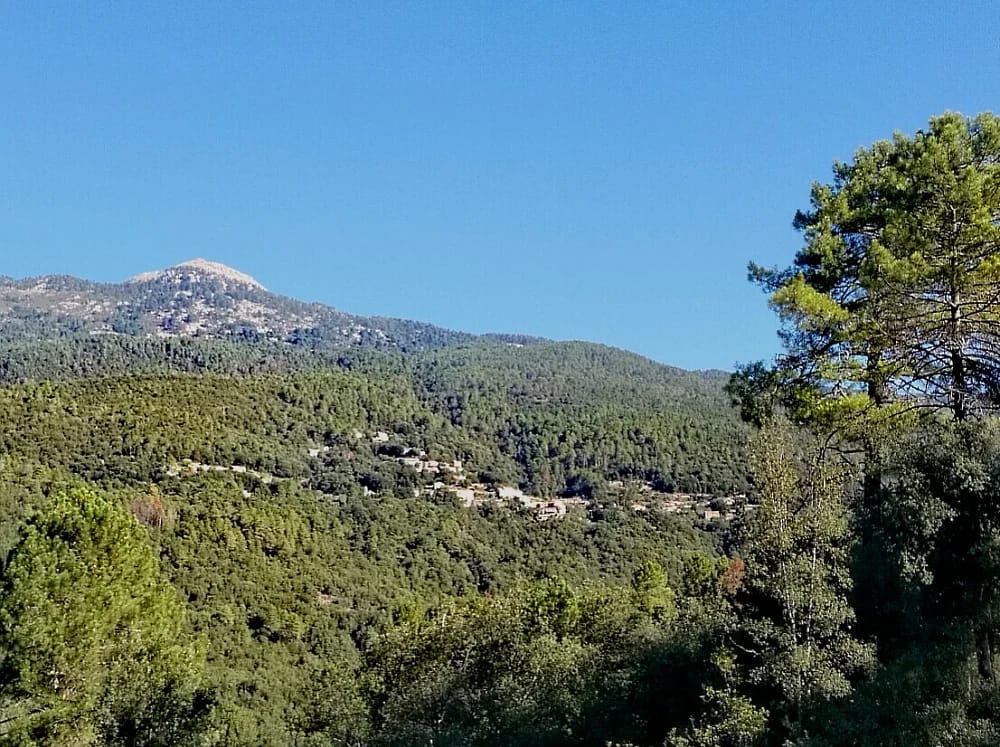 Panneaux solaires à Azzana