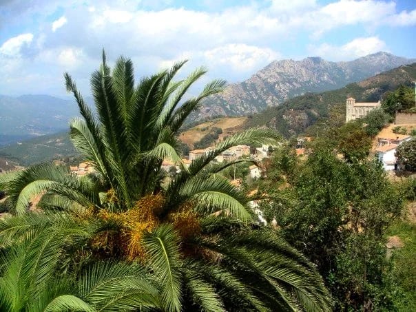 Panneaux solaires à Cuttoli-Corticchiato