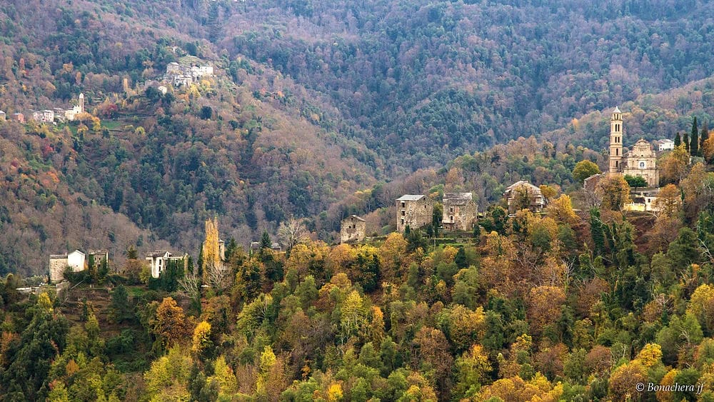 Panneaux solaires à Carcheto-Brustico