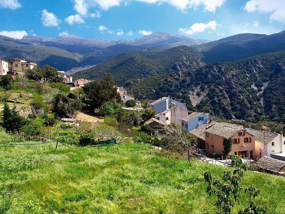 Panneaux solaires à Olmeta-di-Capocorso