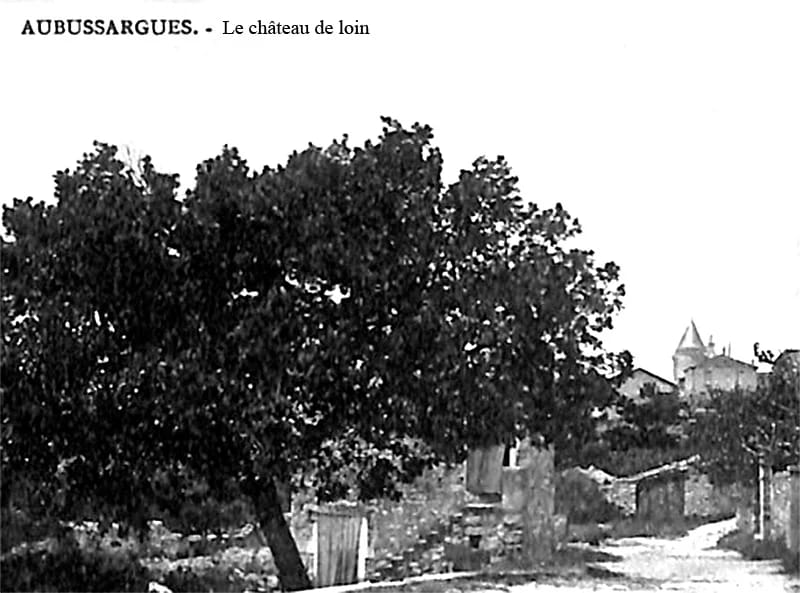 Panneaux solaires à Aubussargues