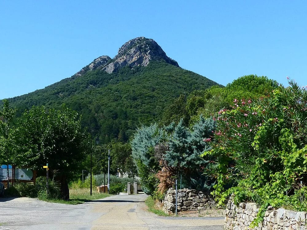 Panneaux solaires à Monoblet