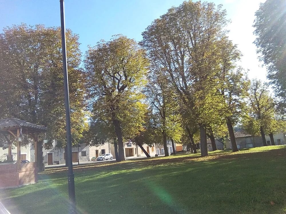 Panneaux solaires à Gensac-sur-Garonne