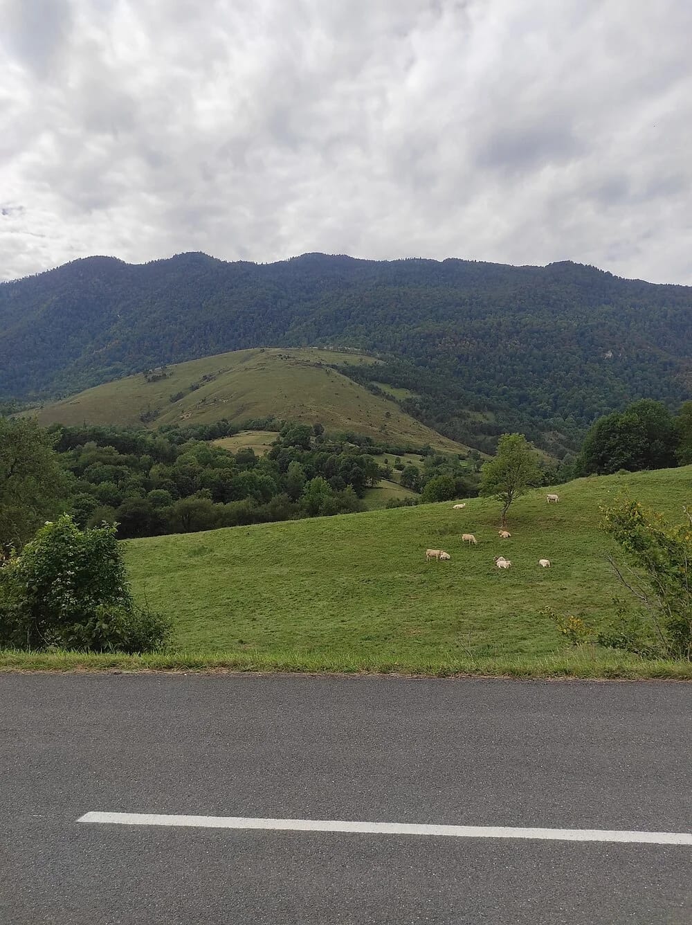Panneaux solaires à Moncaup