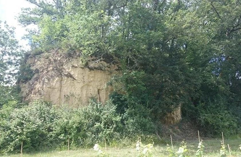 Panneaux solaires à Bouzon-Gellenave